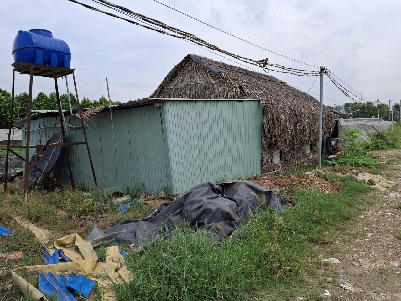 Rẻ! Đất 2.9tr/m² 0.3Ha – Xuân Thới Thượng 2 HM - Ảnh 1